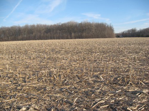 Property photo 14 - 44 Acres Offered in 3 Tracts